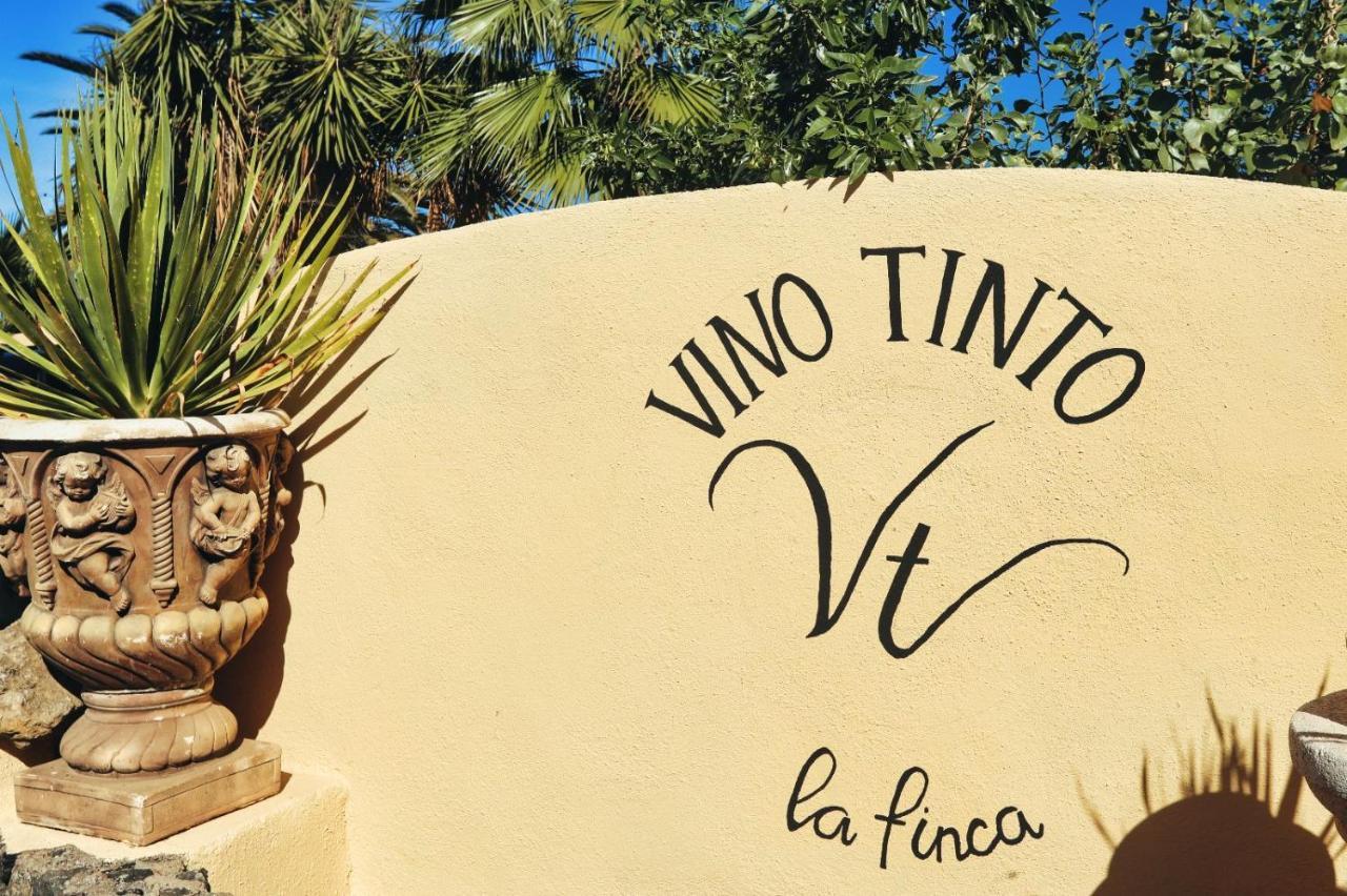Finca Vino Tinto 5S Icod De Los Vinos Esterno foto